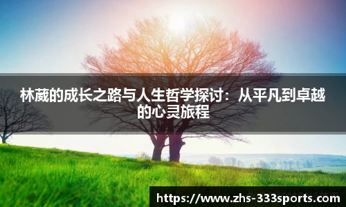 333体育平台