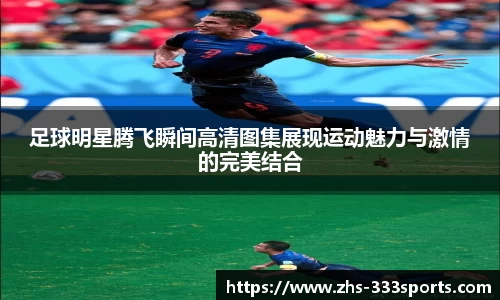 333体育官网